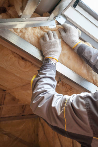 Best Insulation Inspection Services  in Byram, MS