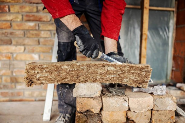 Best Insulation Contractor Near Me  in Byram, MS