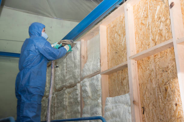 Best Insulation Inspection Services  in Byram, MS