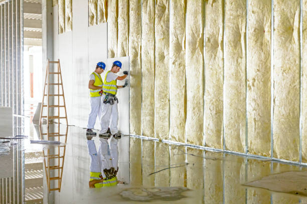Best Home Insulation Services  in Byram, MS